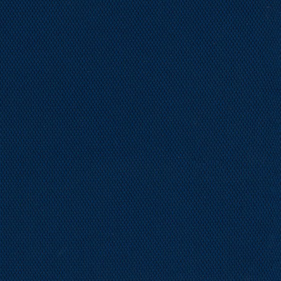 Mesh back 3D Knit Nickel; Seat fabric Cogent Royal Blue; Frame Seagull