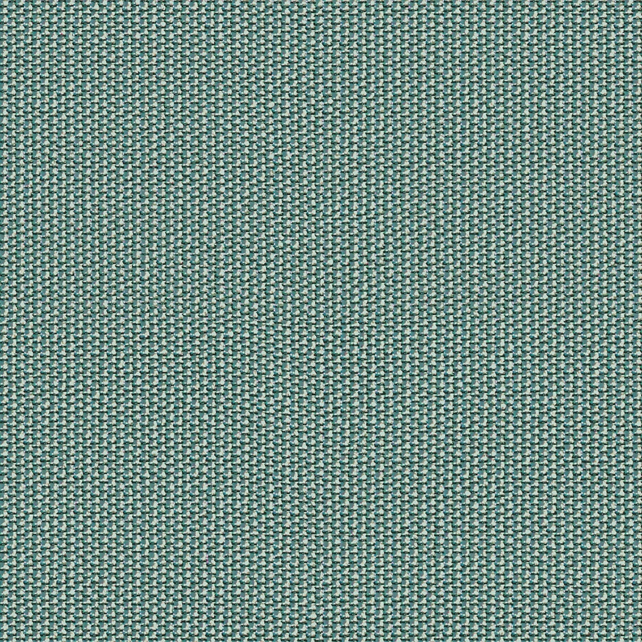 Peacock Opaque