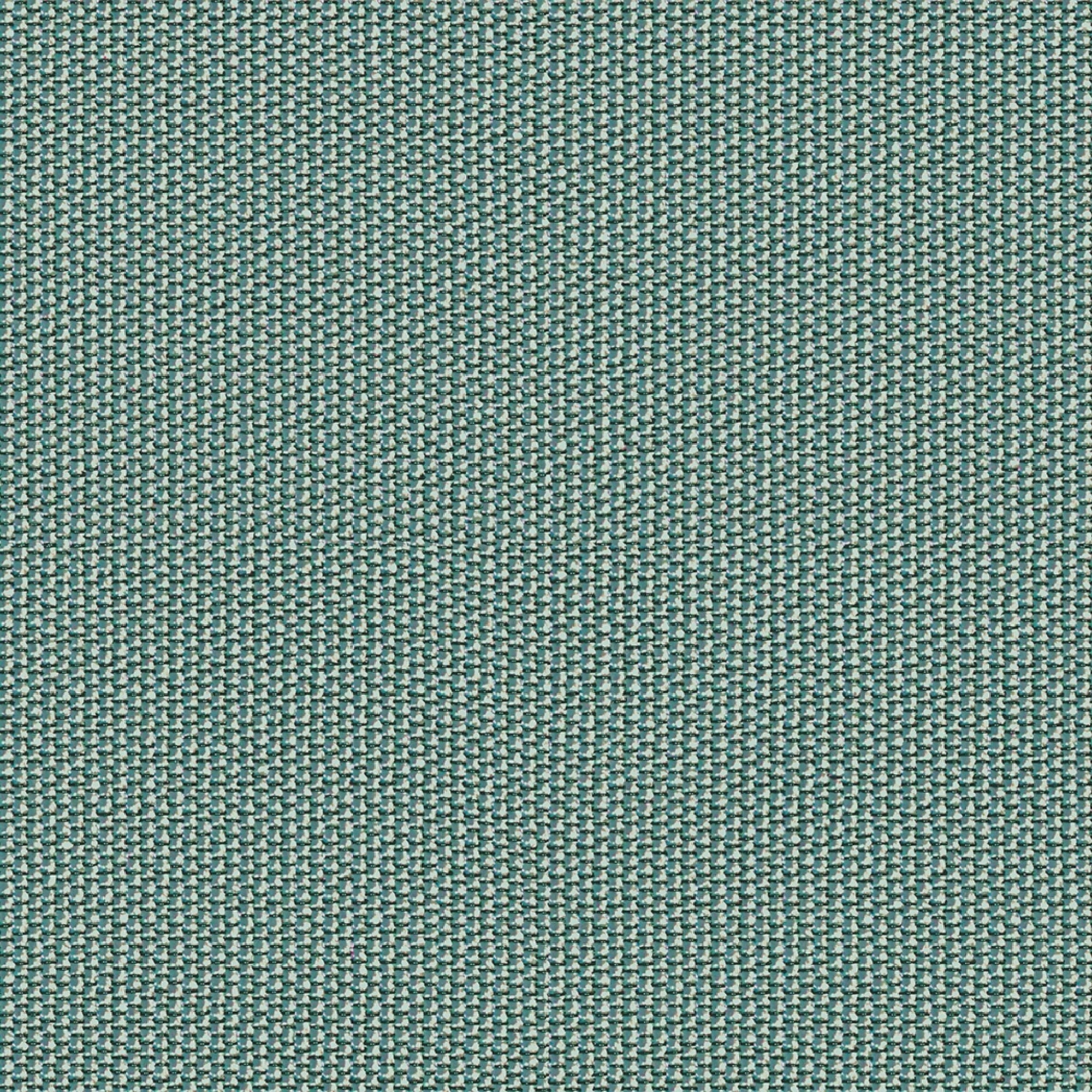 Peacock Opaque