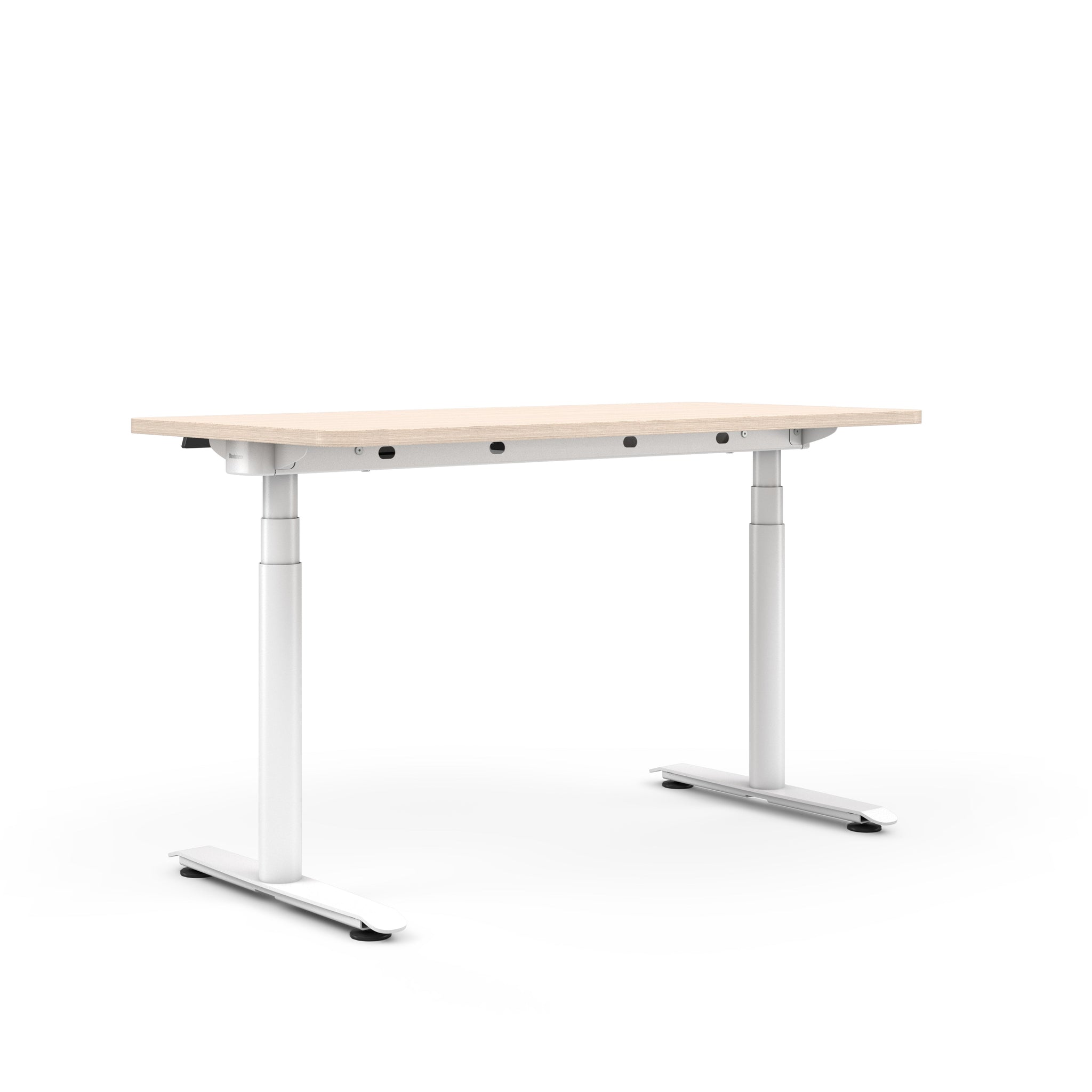 Acacia Top; Arctic White Base